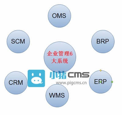 CRM、ERP、OMS、WMS、SCM、BRP 电商企业需知的6大管理系统